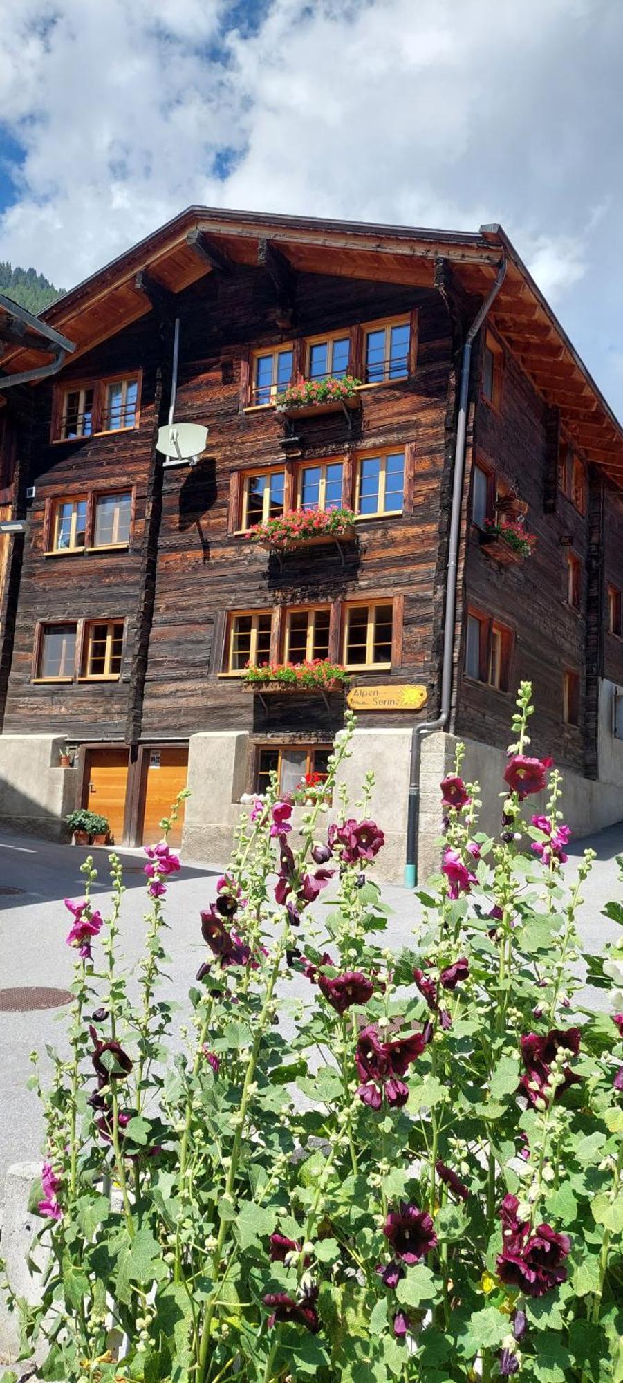 Alpensonne Lägenhet Reckingen Exteriör bild