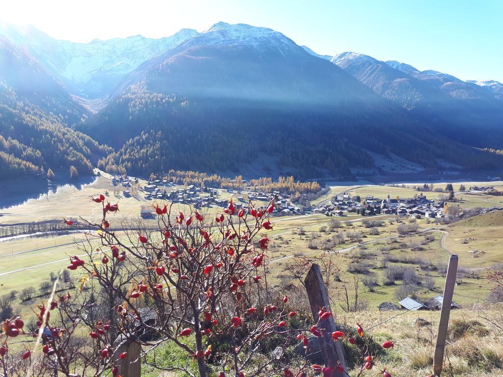 Alpensonne Lägenhet Reckingen Exteriör bild