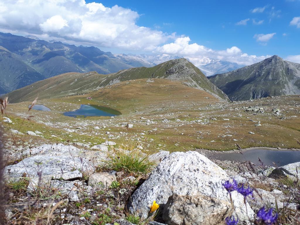 Alpensonne Lägenhet Reckingen Exteriör bild