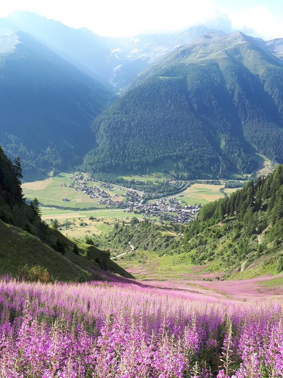 Alpensonne Lägenhet Reckingen Exteriör bild