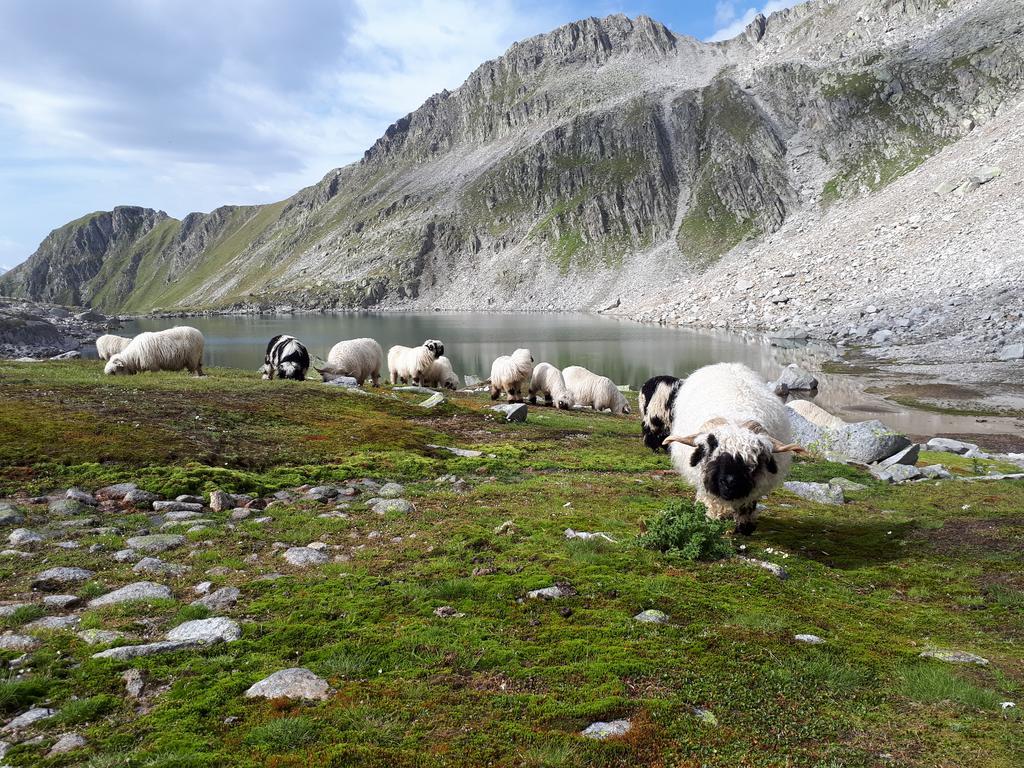 Alpensonne Lägenhet Reckingen Exteriör bild