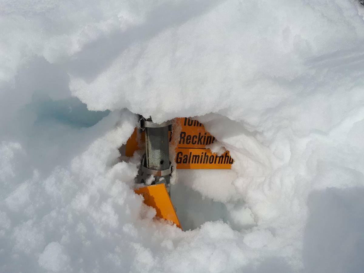 Alpensonne Lägenhet Reckingen Exteriör bild